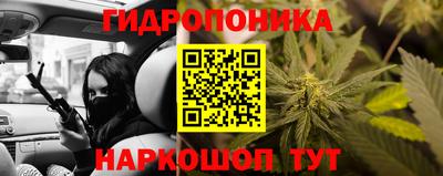 стафф Бузулук