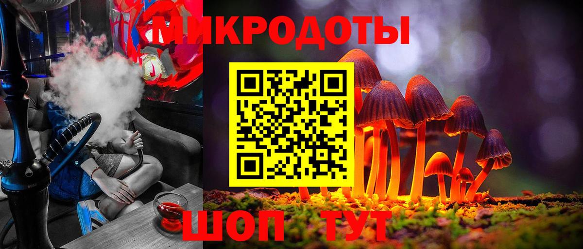 Псилоцибиновые грибы Psilocybe Подольск